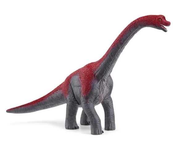 SHL15044 - Brachiosauro - 1