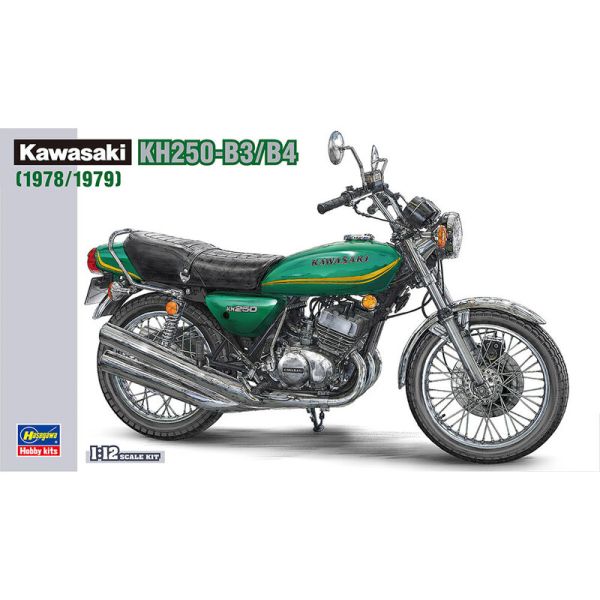 HAW21508 - 1978/1979 KAWASAKI KH250-B3/B4 Moto da costruire e verniciare - 1