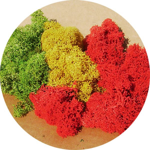 HEK3214 - Lichene colori assortiti 30g - 1