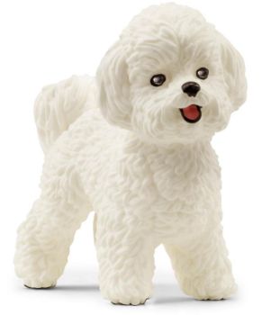 SHL13963 - Bichon Frise