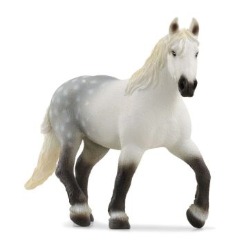 SHL13971 - Cavalla percheron