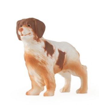 ERT46530 - Bretagna Spaniel