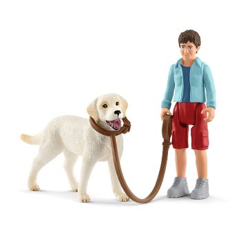 SHL42478 - Cammina con il Labrador Retriever